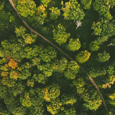 Dorm Bg Pet-friendly 3*