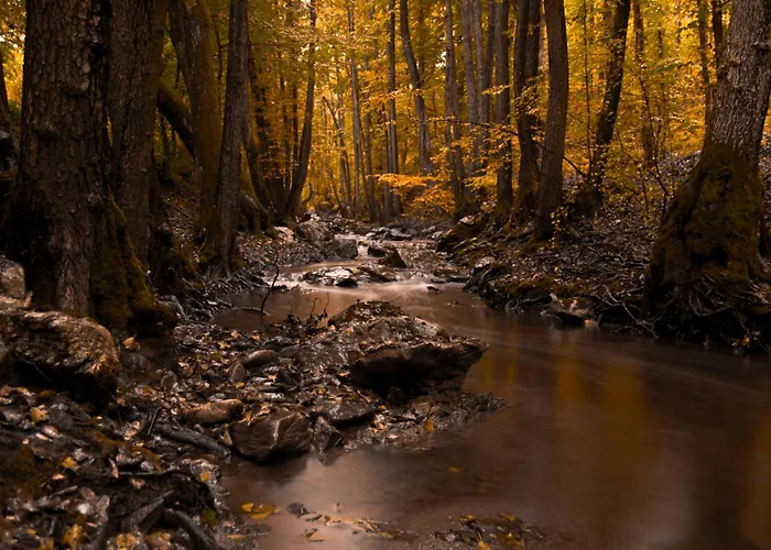 Dorm Bg Pet-friendly Hotel apartamentowy 3*