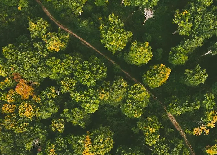 Dorm Bg Pet-friendly 3*